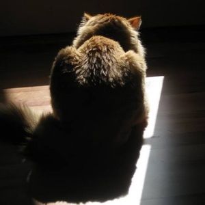 Meet your Posher, Fiona